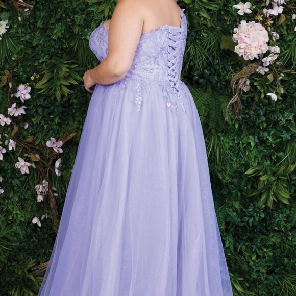 Molly - Picture 4 of 6